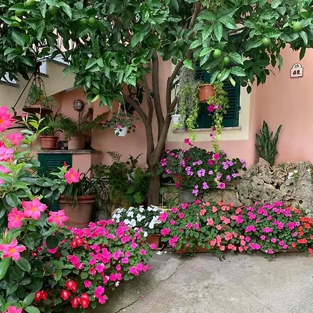 Orchidea Country house Finale Ligure
