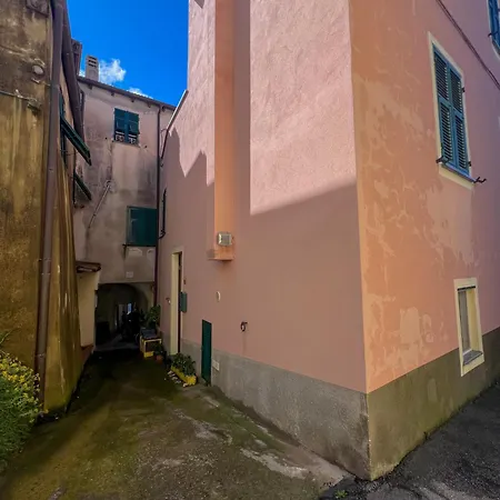 Kır Evi Orchidea *